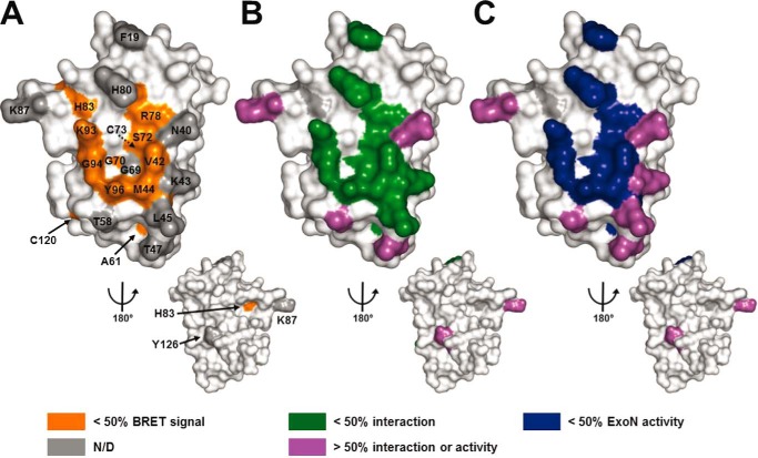 FIGURE 4.