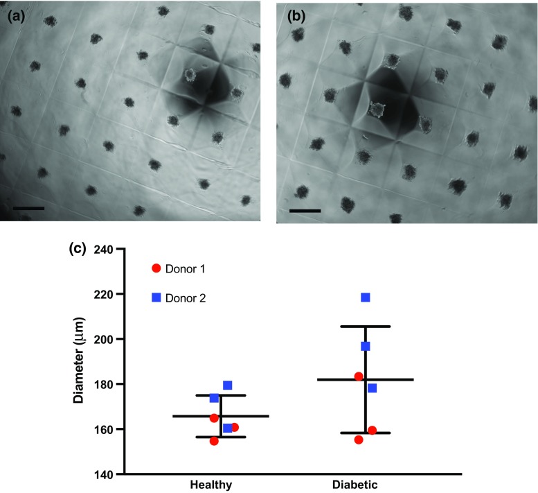 Figure 2