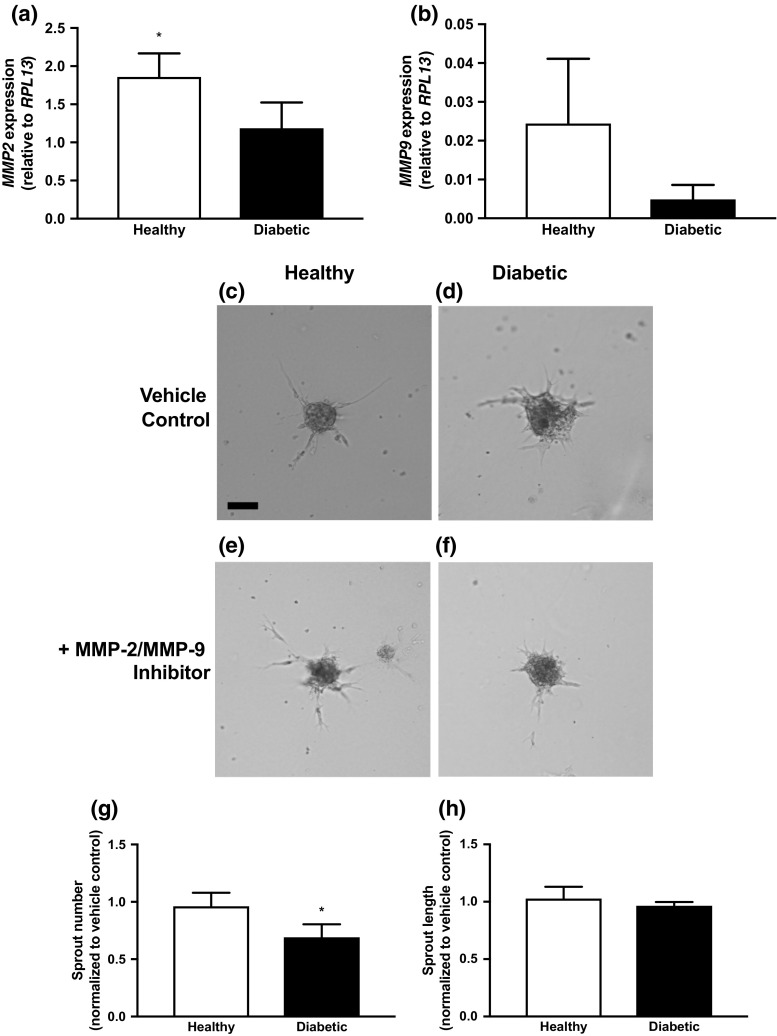 Figure 5