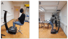 Fig 3