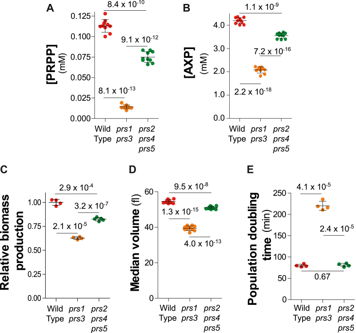 Figure 2