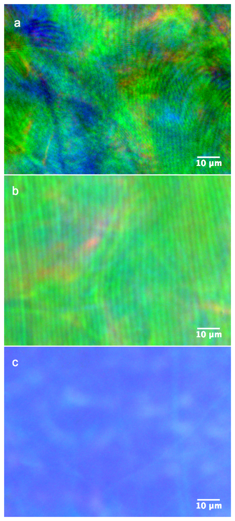 Figure 16