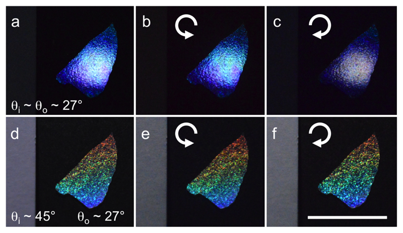 Figure 15