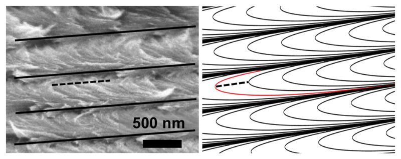 Figure 21