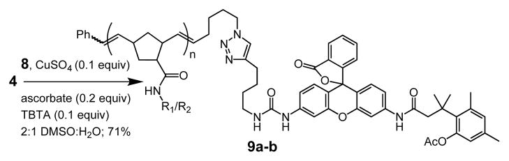 Scheme 4