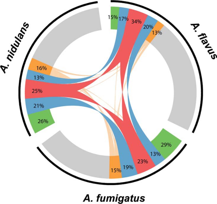 FIG 2 