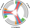 FIG 2