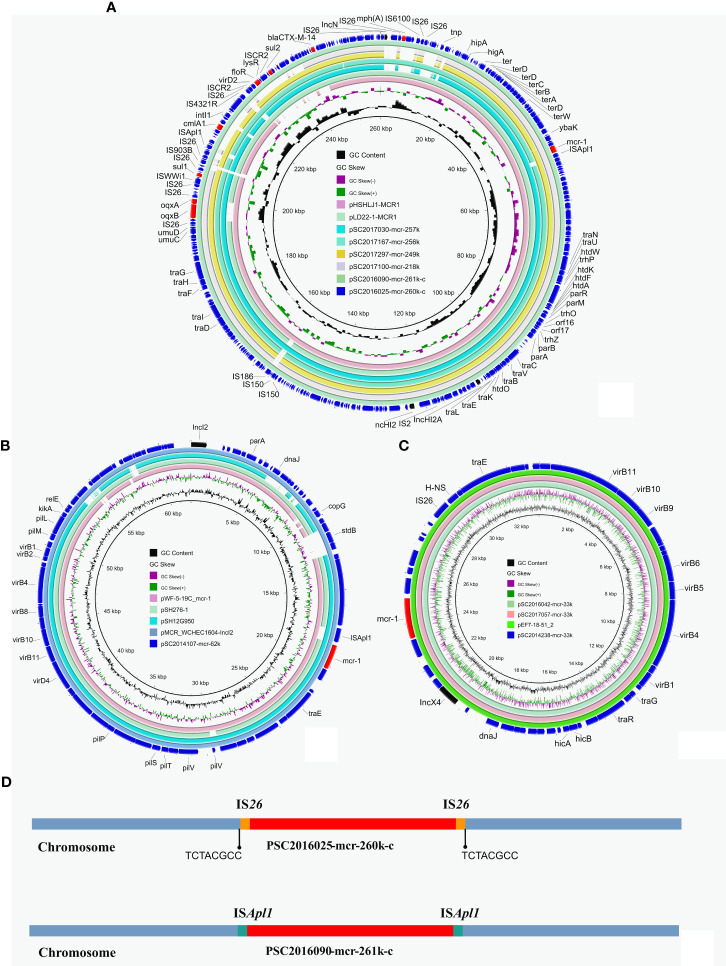 Figure 2