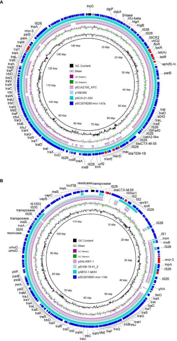 Figure 3