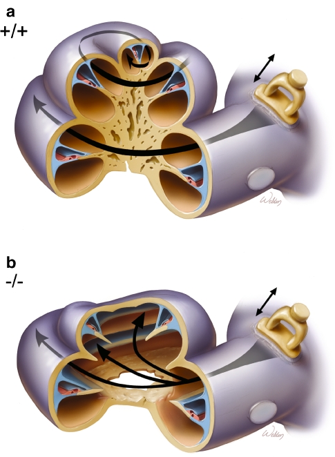 FIG. 9