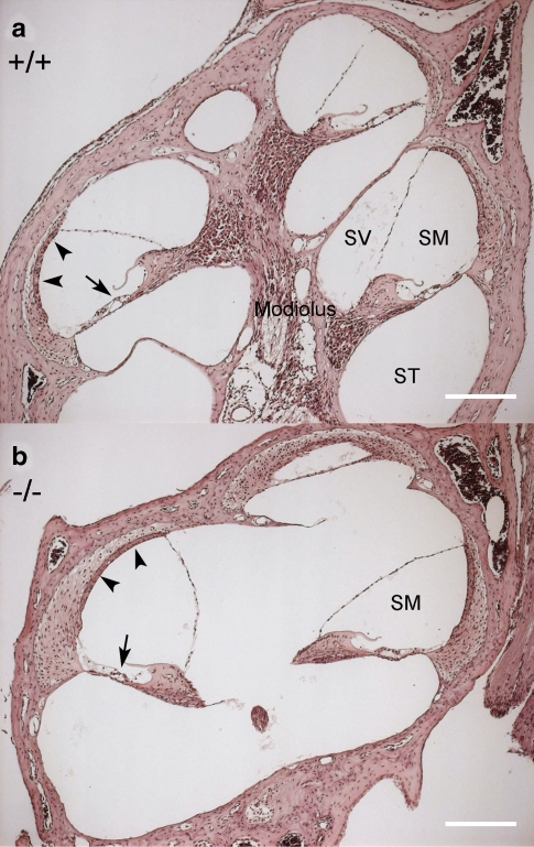 FIG. 6