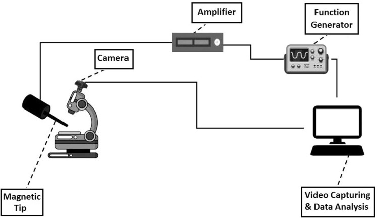 Fig. 1