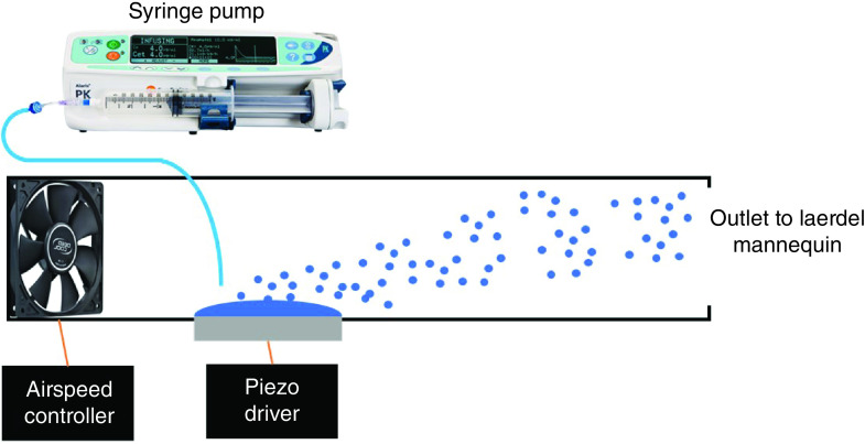 Figure 2. 