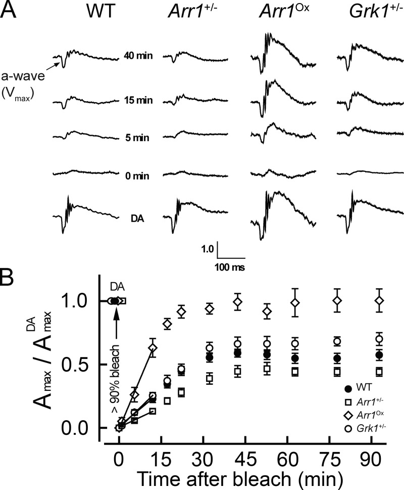 Figure 5.