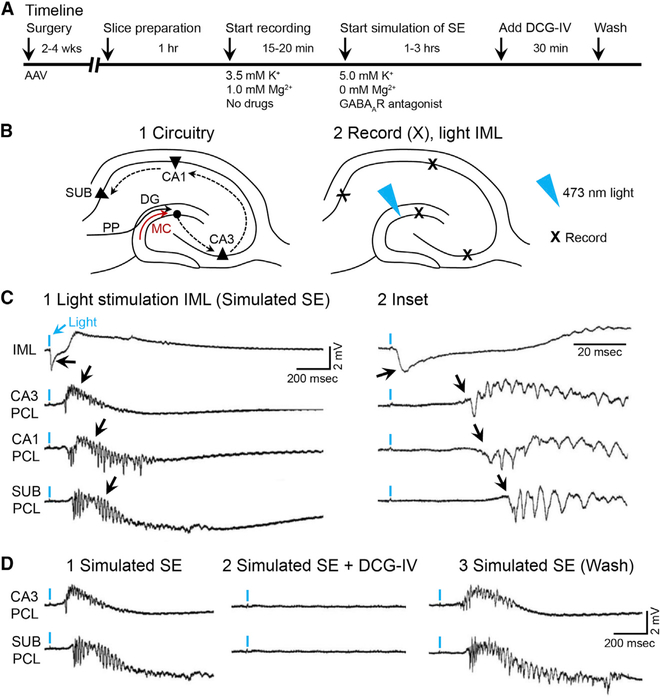 Figure 7.