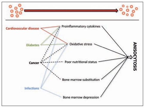 Figure 1.