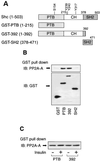 FIG. 8.