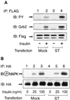 FIG. 5.