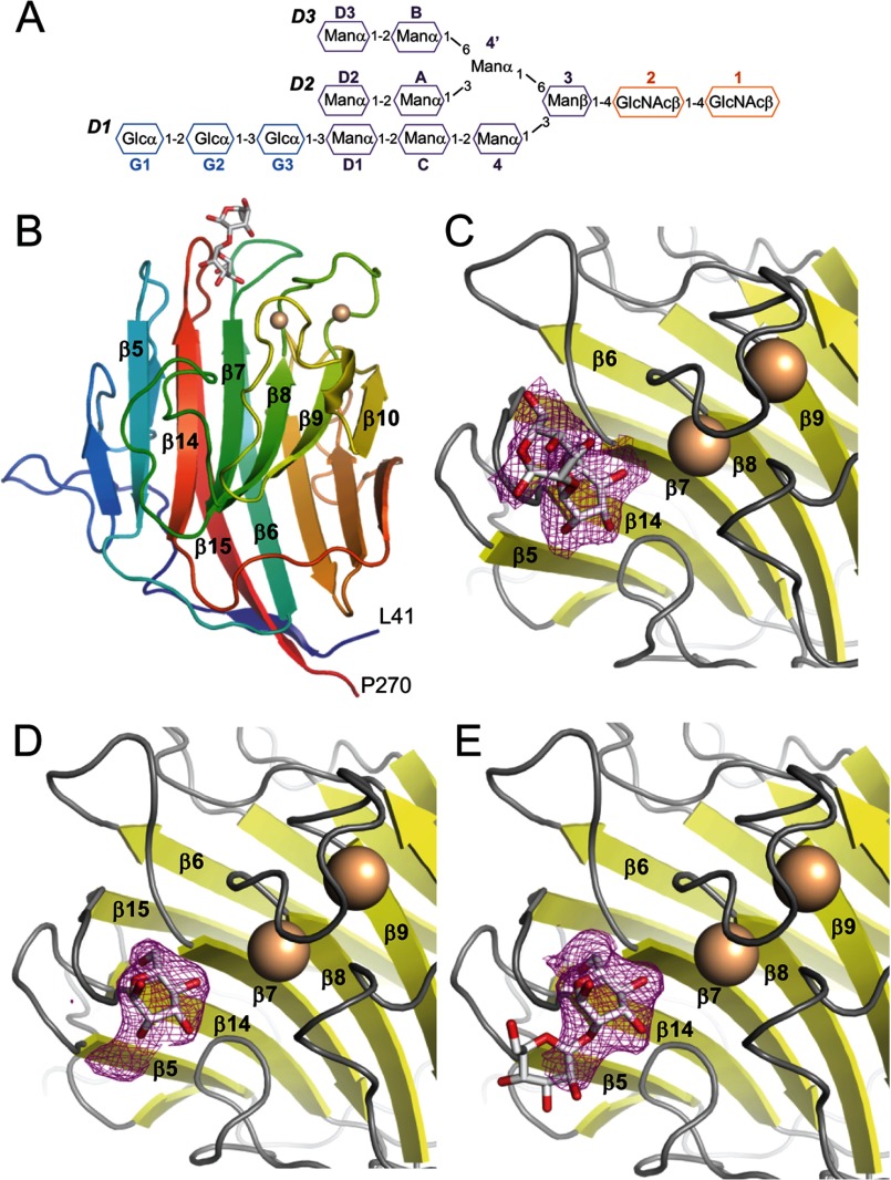 FIGURE 1.