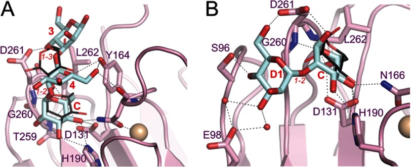 FIGURE 4.