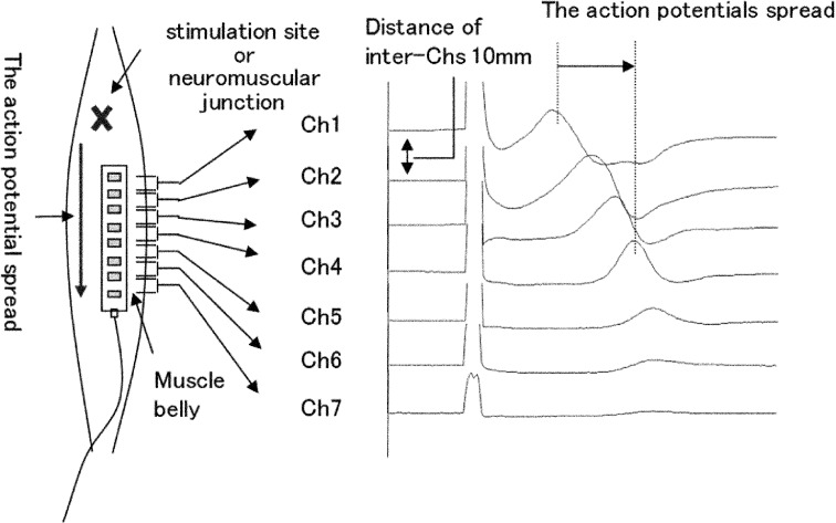 Fig. 1.