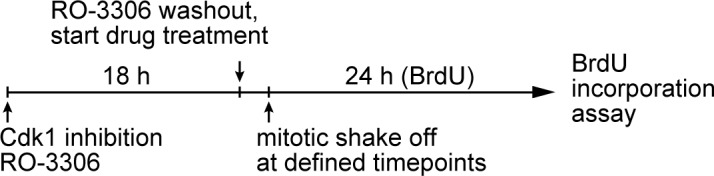 Figure 2—figure supplement 2.