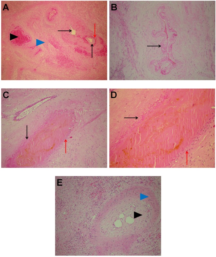 Fig 5