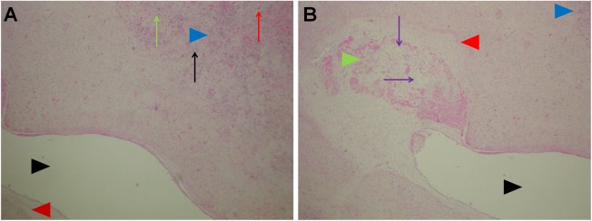 Fig 6