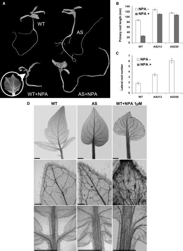 Figure 9.