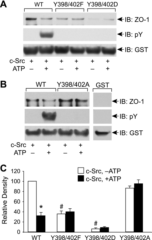 FIGURE 6.