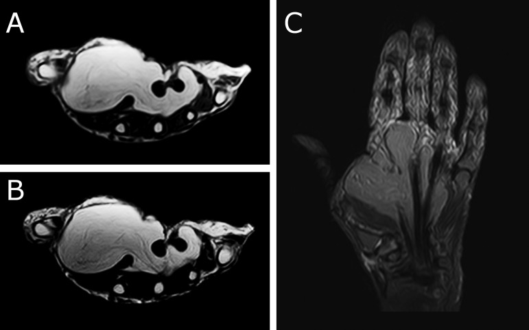 Figure 2