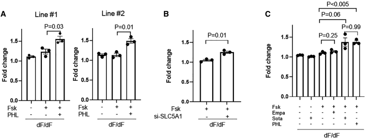 Figure 4