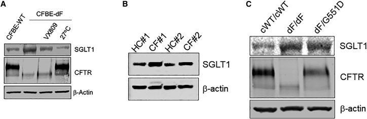 Figure 3