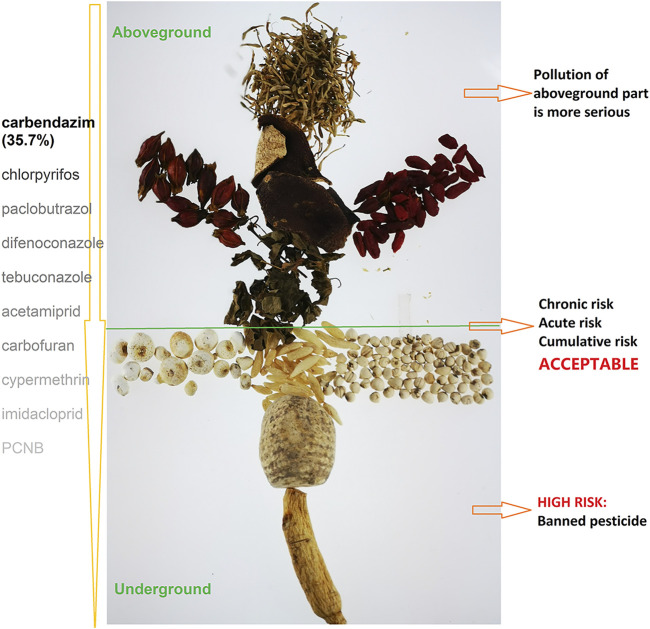 GRAPHICAL ABSTRACT