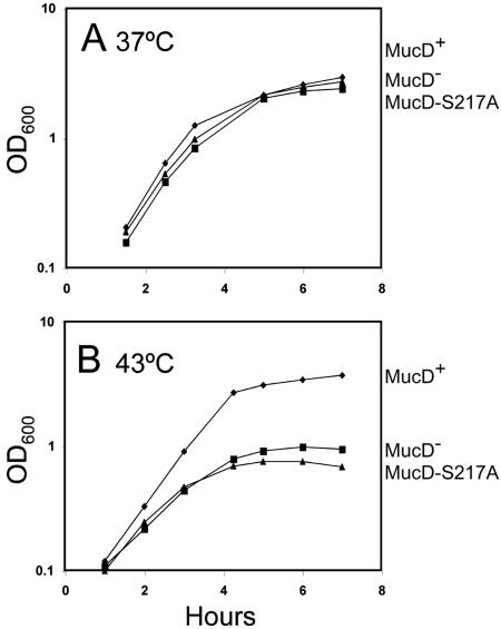 FIG. 5.