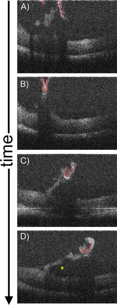 Fig. 5