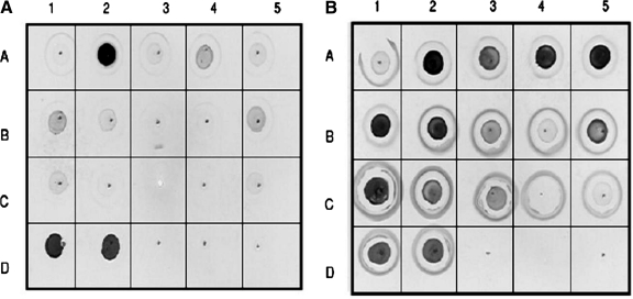 FIG. 5.