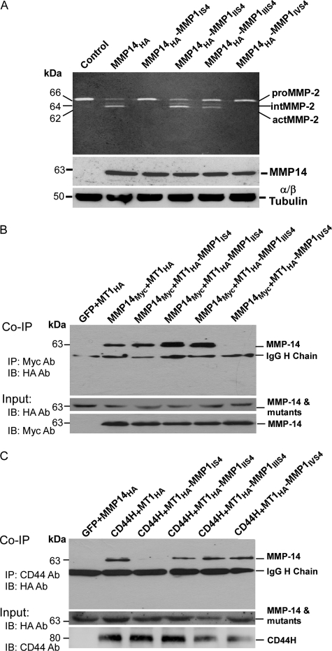 FIGURE 3.