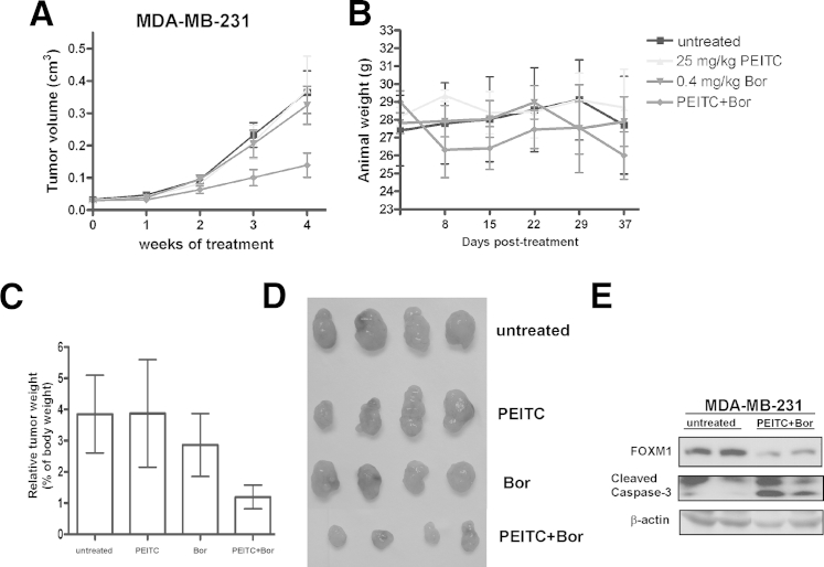 Figure 6