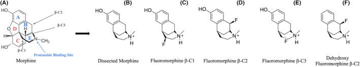 FIGURE 1