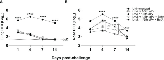 Figure 5