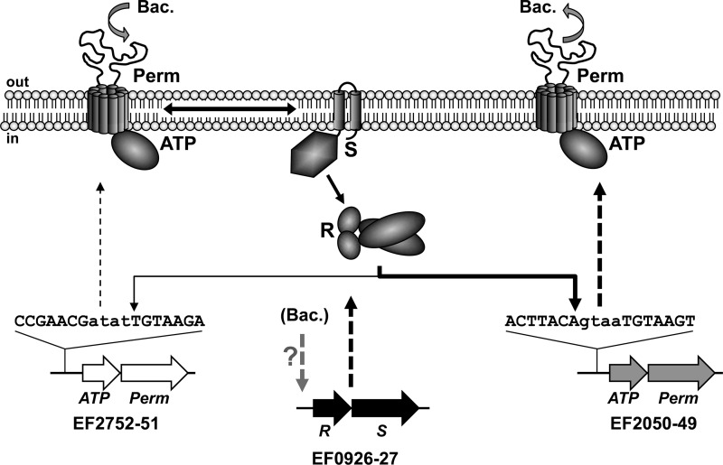 FIG 6