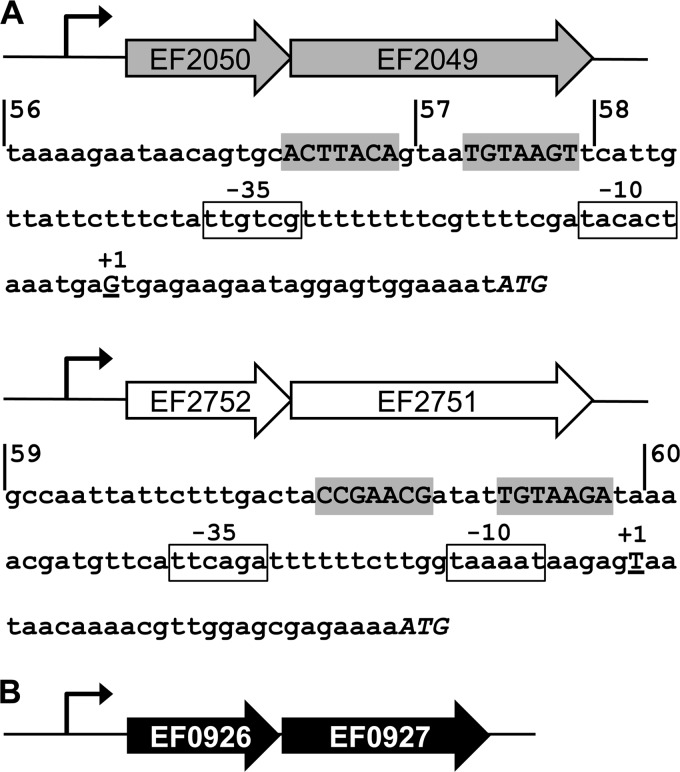 FIG 1