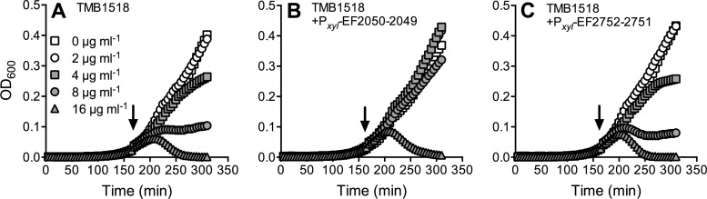 FIG 4