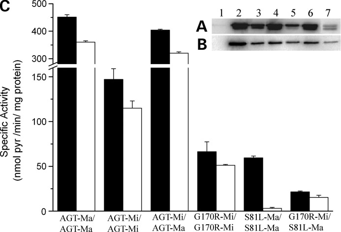 Figure 2.