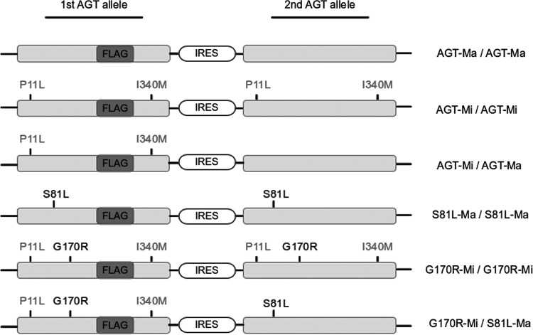 Figure 1.