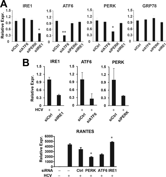 FIGURE 10.