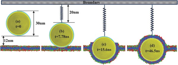 Figure 6