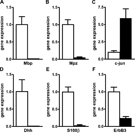 Figure 10.