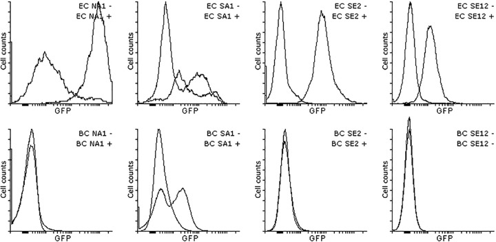 FIG 3